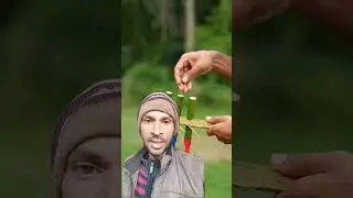 Three balloon and bamboo nali slingshot #slingshot #youtubeshorts #shorts #ytshorts