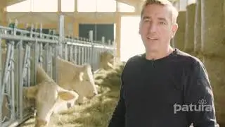 Charolaiszucht mit viel Herz | Nils Schwantes in Wettenberg-Wissmar | PATURA Testimonial