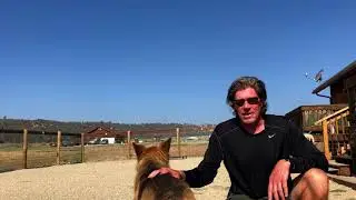 Brian Agnew - The Balanced Dog: Drives 101