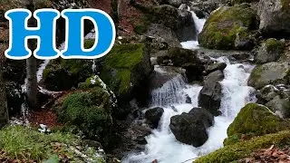 Beautiful Waterfalls of World | Free HD Videos - No Copyright