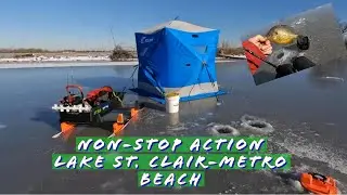 NON-STOP ACTION!!!! Lake St. Clair-Metro Beach