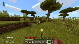 Minecraft Realm