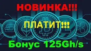 (SCAM!!! НЕ ПЛАТИТ!!!) deewe.biz - ПЛАТИТ!!! Бонус при регистрации 125Gh/s