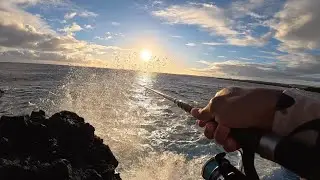 New years - Hawaii fishing - New PB fish