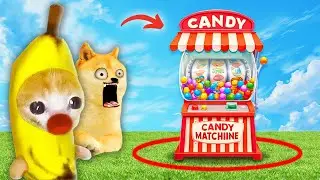 Banana Cat & Doge Vs. The Magical Candy Machine 🍬🐶🐱 Banana Cat Compilation | Happy Cat Crying MEME 😿