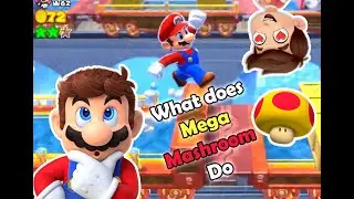 The Secret Boss Battle in Super Mario 3D World: Bullet Bill Express