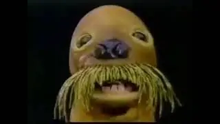 Walrus From Pingu Speaking English