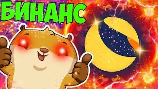 LUNC BINANCE ВЕРНУЛ СЖИГАНИЕ! ВАЛИДАТОРЫ ПРИНЯЛИ ОБНОВЛЕНИЕ!  НАКАПЛИВАЮ СЕЙЧАС! ТЕРРА ЛУНА КЛАССИК