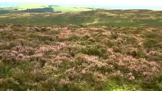 Long Mynd Walk