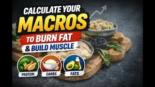 How to calculate your macros to burn fat and build muscle!