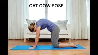 How to do a Yoga Cat Cow Stretch Pose