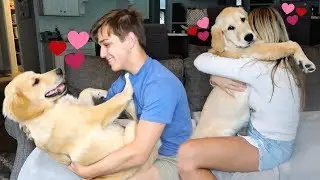Hugging my Dogs for Too Long with FUNNY COMMENTARY!