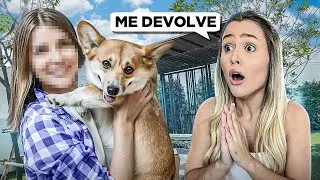 OS ANTIGOS DONOS QUE ABANDONARAM O MEU CACHORRINHO ADOTADO QUEREM ELE DE VOLTA!