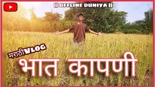 | भात कापणी 🌾| Bhat Kapni | Marathi Vlog | OFFLINE DUNIYA |
