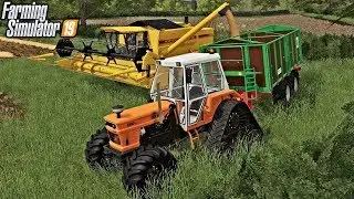 First Harvest Was A Success! | Somerset Farms | Farming Simulator 19