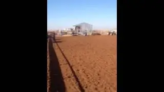 Rojo 13 Breakaway/Barrel Horse