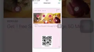How to add the pass to Apple Wallet from the poster?