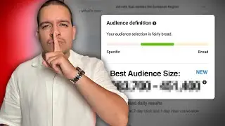 WHAT IS THE PERFECT SIZE AUDIENCE ON FACEBOOK | SHOPIFY DROPSHIPPING