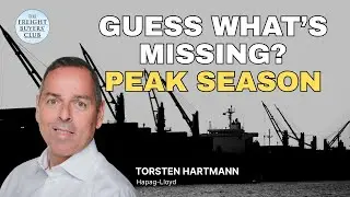 Q3 Container Shipping Slump: Why Demand Has Vanished