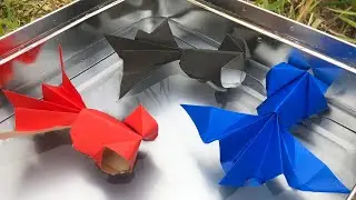 立体の出目金でめきんの折り方