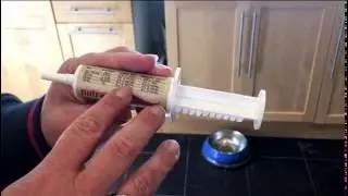 nutrabio probiotic for dogs and cats