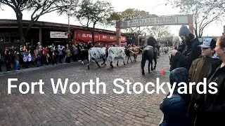 A Cowboy Adventure: Discovering Fort Worth Stockyards in Texas - LA to Argentina - [USA Ep.31]
