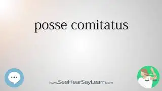 posse comitatus 🔊