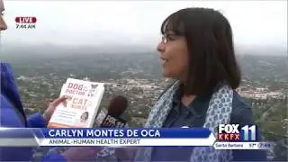 Author Carlyn Montes De Oca on KKFX Fox 11 News Santa Barbara