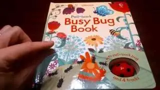 Книга Usborne Pull-Back Busy Bug