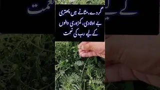 Bhakra booti | #shorts #viralvideo