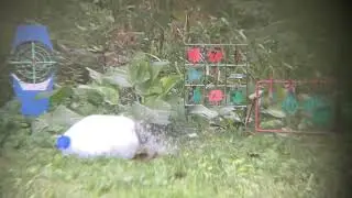 AEA Element Max 457 vs frozen milk jugs at 50 yards