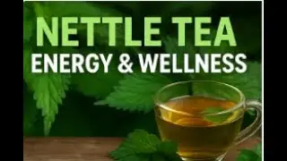 Nettle Tea: Benefits for minerals, energy, and seasonal wellness | How to brew