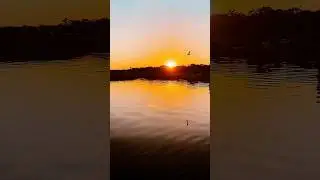 Sunsets on the Inlet are Magical!Moving to Murrells Inlet  #inet #murrellsinlet #murrellsinletsc