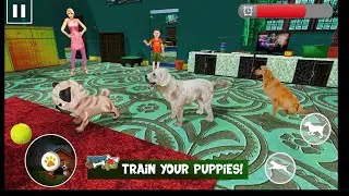 Virtual Puppy Simulator GamePlay - Pet Dog Family Adventure: Dog Sim Online: Raise a Family