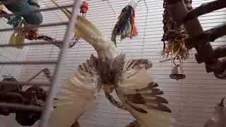 Shower time! 