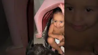 Boy Sitting Inside Dog&rsquo;s Kennel With 3 Dogs