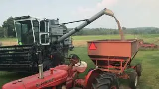 Gleaner F cutting rye 2021