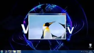 Redimention automatique  Ancrage  avec Windev