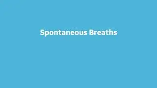 Mechanical Vs  Spontaneous Breaths