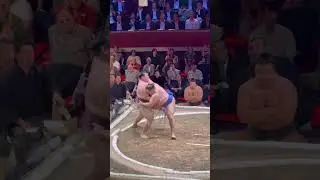 Sumo London 2025 Royal Albert Hall