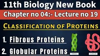 Classification of Proteins| Fibrous Proteins VS Globular Proteins| 11th Biology | Lec # 19| Chap # 4