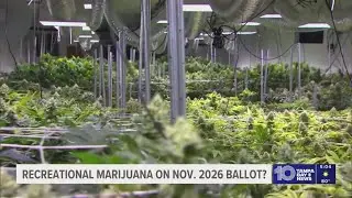 Legal experts weigh on proposal to include recreational marijuana proposal on Nov. 2026 ballot