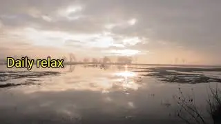 Deep relaxing yoga music | mediation music | calm music | sleeping music | relax music | Daily relax