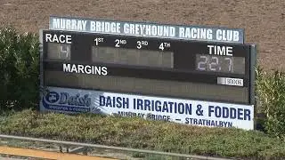 Murray-Bridge-01022026-Race-4
