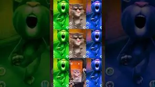 941 Talking tom cat #shorts