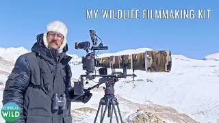 Essential Cinematography Gear: My Go-To Wildlife Filmmaking Kit