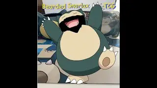 The Bearded Snorlax TCG Pokemon Snorlax Eevee Team up Tin