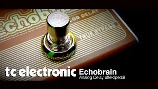 TC Electronic Echobrain Analog Delay effektpedál