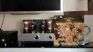 CAYIN CS-845 A, seguimos con la pruebas con vinilo