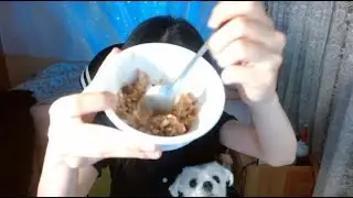 팡팡이와 함께 괴식 먹방 (개껌+개밥+피자치즈+땅콩버터+핫초코)